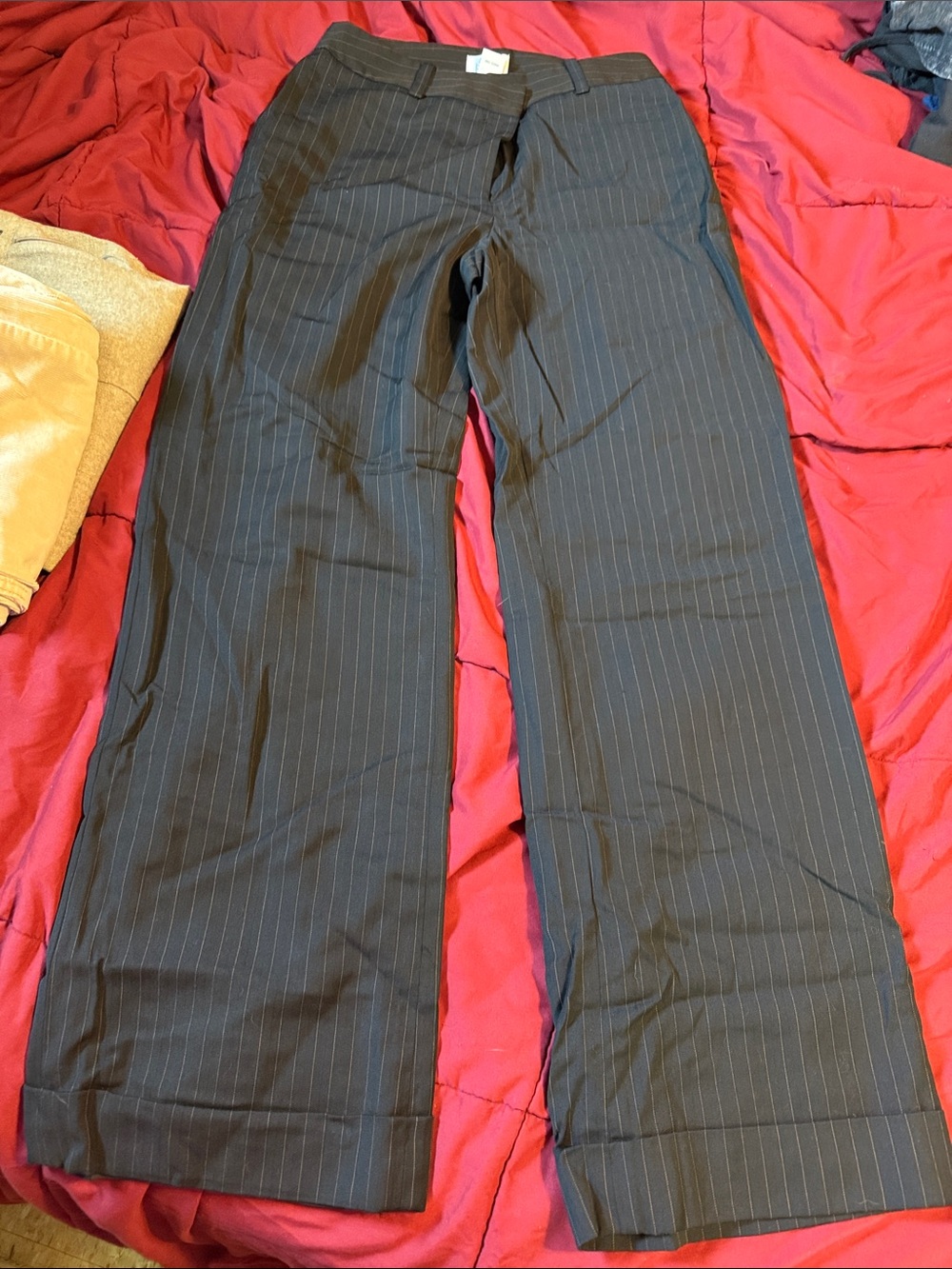 Ann Taylor Women's  Dark Pinstripe Dress Pants - wide legs